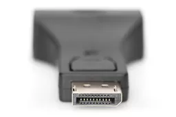 JyKPhT2TW0mhxszhxM1UOA.c-r.jpg?