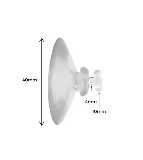 1767800987-84768500.jpg?