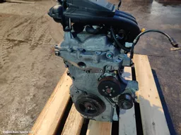 49d5d577-929a-450d-b0b3-4f2bf367265c.jpeg?