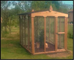 Aviary4.jpg