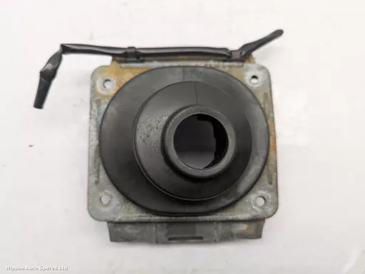 12a0dad7-2408-4446-af4f-66674d69054e.jpeg?