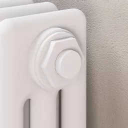 101.0001_2.jpg.jpeg?