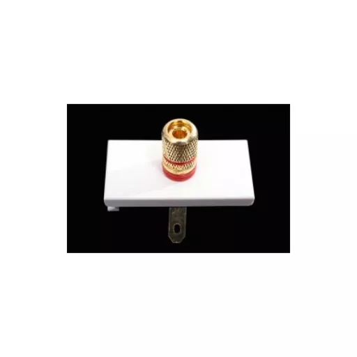 Speaker Euro Module (1 x Red Binding Post w/solder)