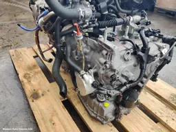 42911253-ba95-4018-8572-1b08374f0679.jpeg?