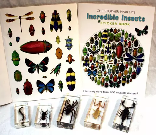 Insects Homebox