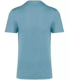 NS314IC%20ARB%20BACK.jpg?