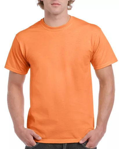 Ultra Cotton® Adult T-Shirt