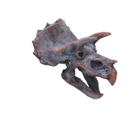 Triceratops 23cm (2).jpg