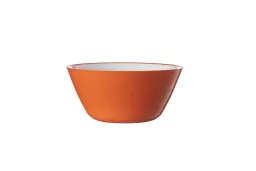 622ORA-700ml-Bowl-Orange-scaled.jpg?