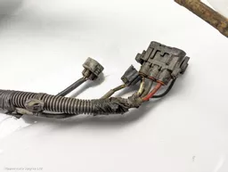 725d75eb-c2e0-408d-897e-5059867844fd.jpeg?