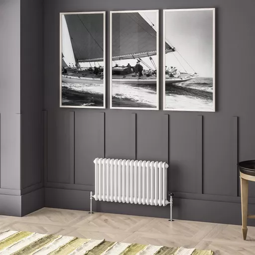 Imperia 2 Column Radiator 450 x 830mm Gloss White