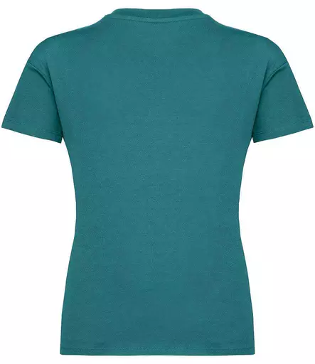 NS340%20PCKG%20BACK.jpg?