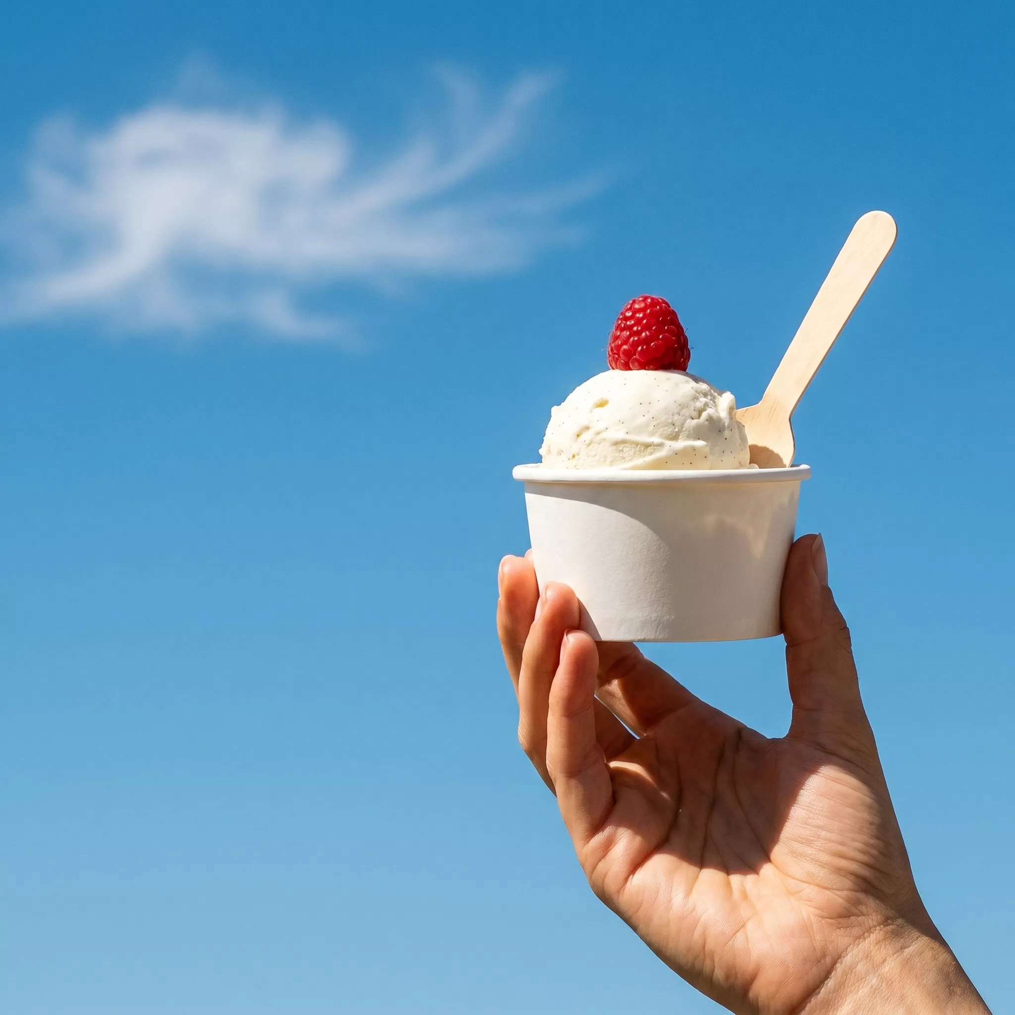 White ice cream cups with clear dome lids in 3oz to 12oz