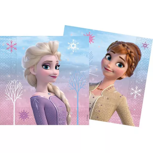 Frozen Wind Spirit Napkins