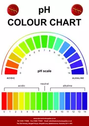 pH-CHART.jpg