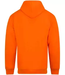 RX350%20ORA%20BACK.jpg?