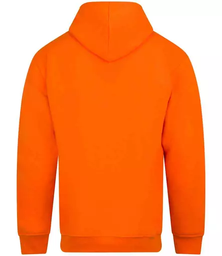 RX350%20ORA%20BACK.jpg?