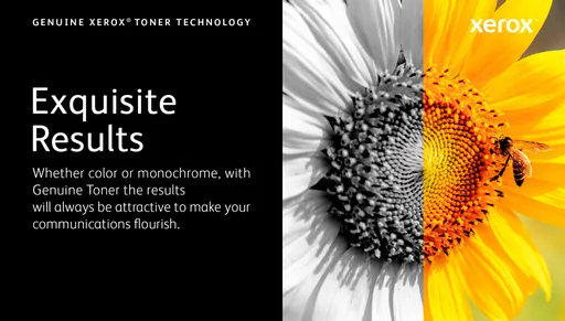 0fC6Kar3AUGE6UYqwnaIbw.c-r.jpg?