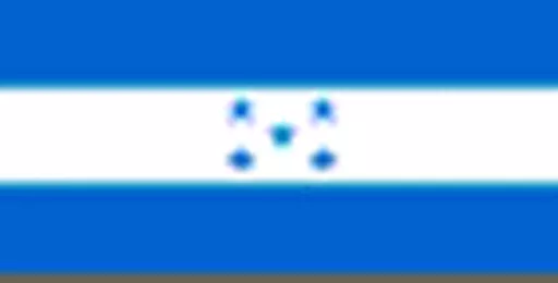 https://starbek-static.myshopblocks.com/images/tmp/fg_125_honduras.gif