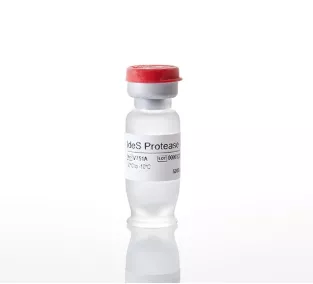 IdeS Protease, 25000U
