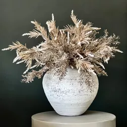 Screenshot 2026-01-28 at 11.09.39.jpg