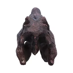 Spinosaurus (5).jpg