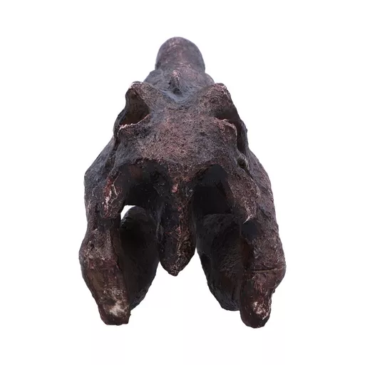 Spinosaurus (5).jpg