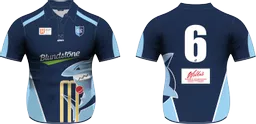 Cricket shirt ss.png