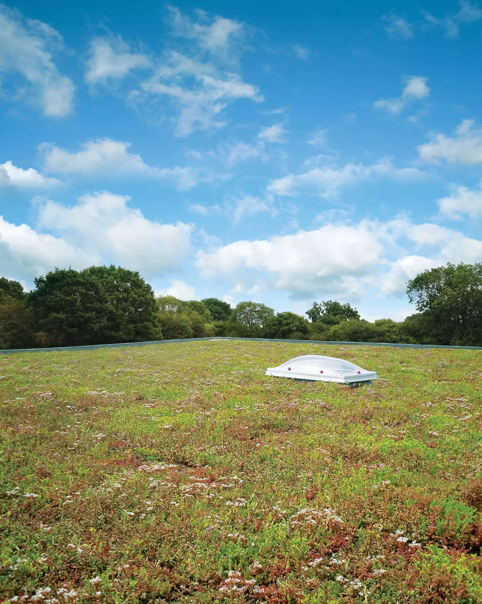 GrufeKit Example Green Roof image (4).jpg