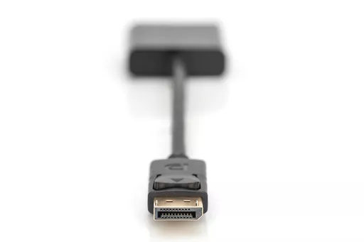 EDSTaUgreUul5hzqYiXtPw.c-r.jpg?