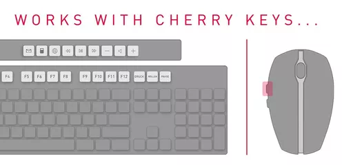CHERRY DW 5100 keyboard Mouse included Home RF Wireless Czech, Slovakian Black
