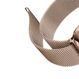 DEV-AW4244-MIL-RGLD3 (Copy).png