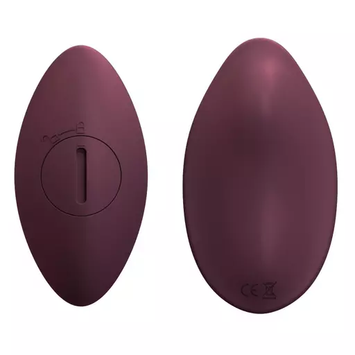 n11526-loving-joy-viva-7-function-remote-controlled-wearable-clitoral-knicker-vibrator-4.jpg