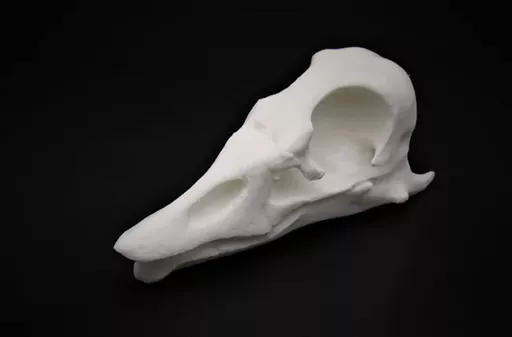 Goose 2.jpg