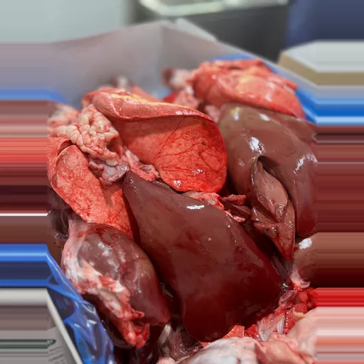Sheep Pluck (Heart, Lungs & Liver) frozen