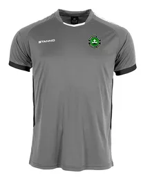 Wantage FC First Tee Grey.png