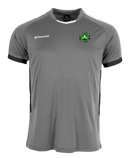 Wantage FC First Tee Grey.png