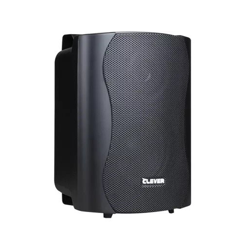 Clever Acoustics BGS25 Black 8 Ohm Speakers (Pair)