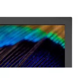 NEC-60004941-Monitor-4.jpg