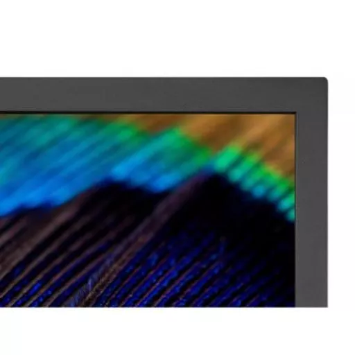 NEC-60004941-Monitor-4.jpg