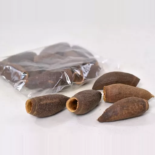 Jequitiba (Savu Pods) x 5