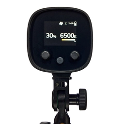 LED100-C10.jpg
