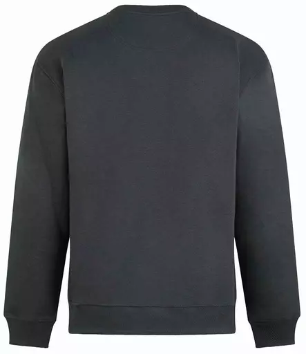 JH113%20SDC%20BACK.jpg?