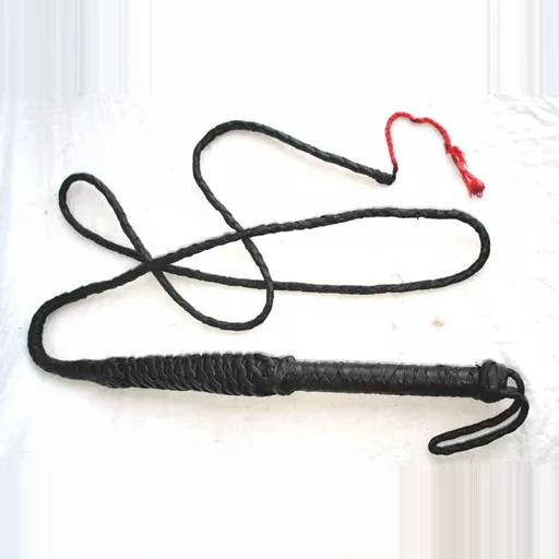 Bullwhip