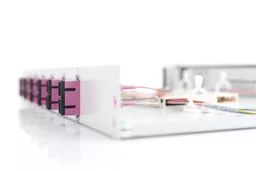 ccrICPZTT0STjigzMdhm9A.c-r.jpg?