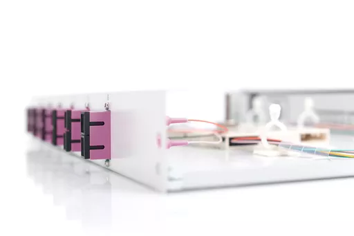 ccrICPZTT0STjigzMdhm9A.c-r.jpg?