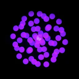 ADJ1237000364-E06_1600x1600.jpg