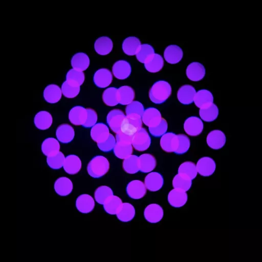 ADJ1237000364-E06_1600x1600.jpg