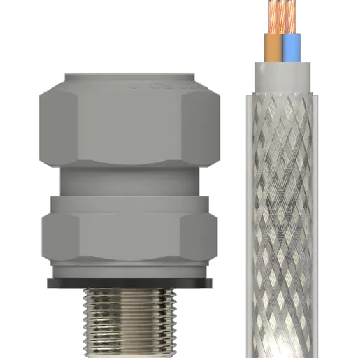 0544-00-MAIN.png