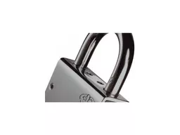 1546516625-88308700.jpg?